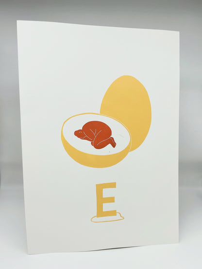 E Is For Egg