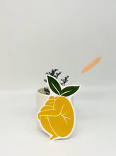 Load image into Gallery viewer, Pack Of Three Vinyl Stickers
